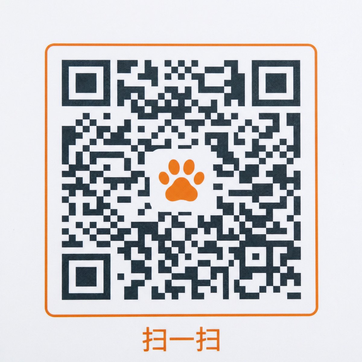 网红主播公众号